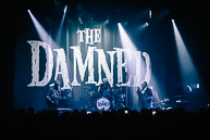 The Damned