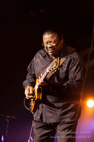 Chicago Blues Festival - Andrew 