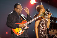 Chicago Blues Festival