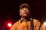 Chicago Blues Festival - Dc Bellamy