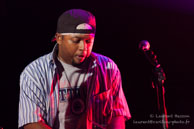 Chicago Blues Festival