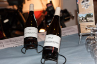 Oeno Music Festival / Le Zenith, Dijon - 11 juillet 2014