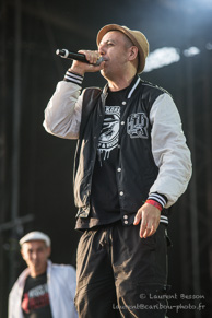 Concert Pour la Paix / Fête de l'Humanité 2014 - Parc Départemental de la Courneuve - 13 septembre 2014