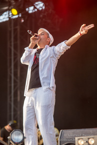 Concert Pour la Paix / Fête de l'Humanité 2014 - Parc Départemental de la Courneuve - 13 septembre 2014