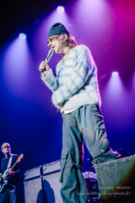 Cage The Elephant / Le Zénith - 26 février 2025