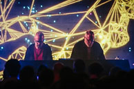 Carbon Based Lifeforms