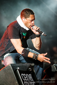 Caribbean Dandee / Oeno Music Festival - Le Zenith, Dijon - 12 juillet 2015