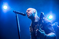 Daughtry
