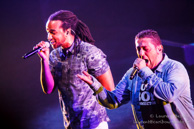 Dub Inc / L'Olympia - 19 novembre 2014
