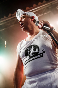 Elmer Food Beat / Le Divan du Monde - 05 février 2015