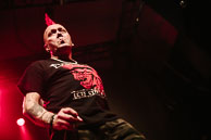 The Exploited