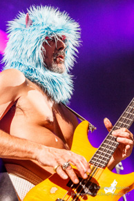 FFF / Bercy - 20 novembre 2014