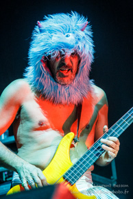 FFF / Bercy - 20 novembre 2014