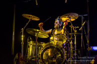 Gogol Premier / L'Olympia - 14 février 2014