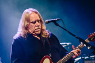 Gov't Mule