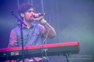 Griefjoy / Festival Soir d'Eté Oui FM 2014 - 09 juillet 2014