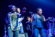 Groundation / Oeno Music Festival - Le Zenith, Dijon - 10 juillet 2015