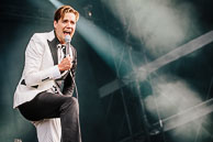 The Hives
