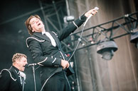 The Hives