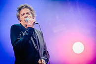 Hubert-Felix Thiéfaine