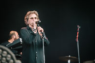 Hubert Felix Thiéfaine