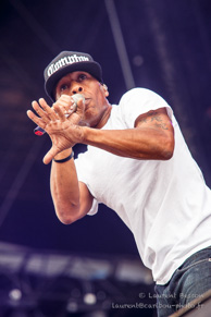 IAM / Main Square Festival 2015 - Arras - 05 juillet 2015