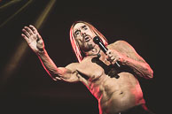 Iggy Pop