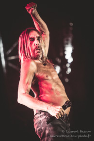 Iggy Pop / Les Eurockéennes 2017 - Belfort - 06 juillet 2017