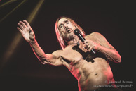 Iggy Pop / Les Eurockéennes 2017 - Belfort - 06 juillet 2017