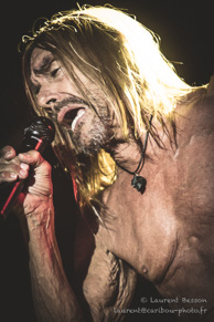 Iggy Pop / Les Eurockéennes 2017 - Belfort - 06 juillet 2017
