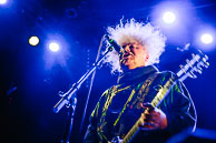 The Melvins