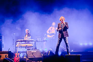 Pulp