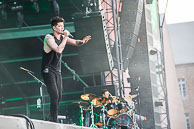 The Script
