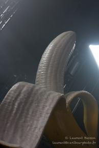 Sexy Sushi / L'Olympia - 05/10/13