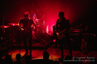 Tample / Café de la Danse - 22 novembre 2018