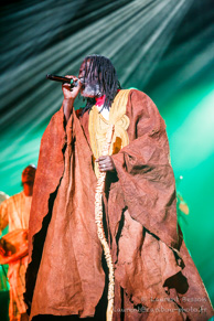 Tiken Jah Fakoly / Le Zenith - 29 avril 2015