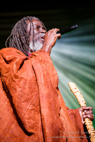 Tiken Jah Fakoly / Le Zenith - 29 avril 2015