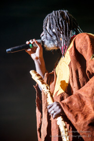 Tiken Jah Fakoly / Le Zenith - 29 avril 2015