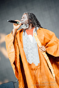 Tiken Jah Fakoly / Main Square Festival 2015 - Arras - 05 juillet 2015
