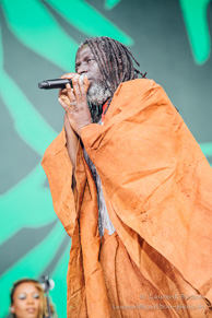 Tiken Jah Fakoly / Main Square Festival 2015 - Arras - 05 juillet 2015