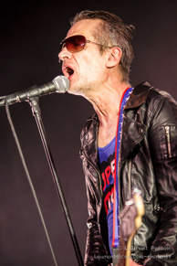 Les Wampas / Le Trianon - 06 février 2015