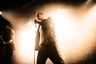 Washington Dead Cats