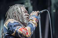 Winston McAnuff & Fixi