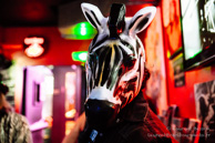 Zebra / Le Gibus Café - 11 septembre 2015