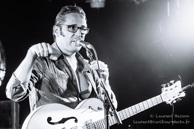 Zebra / Le Gibus Café - 11 septembre 2015