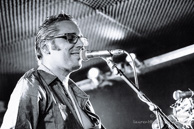 Zebra / Le Gibus Café - 11 septembre 2015