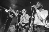 Zebra Mambopunk / Gibus Café - 04 décembre 2015