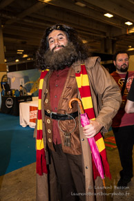 Geekopolis 2014 / Parc des Expositions - Porte de Versailles - 17 mai 2014