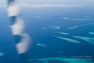 Ari Atol / Maldives - Vilamendhoo - Septembre 2008