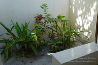 Vilamendhoo / Maldives - Vilamendhoo - Septembre 2008